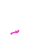 北海道