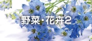 野菜・花卉2